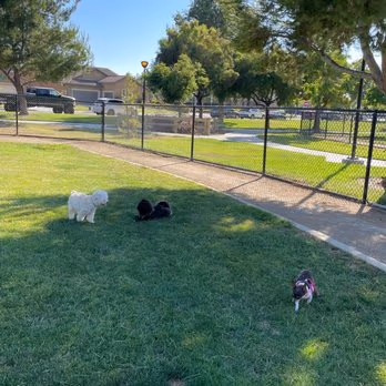 Dairyland Dog Park photo 2